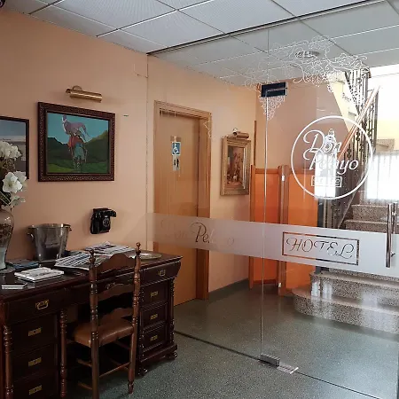 Don Pelayo Hotell